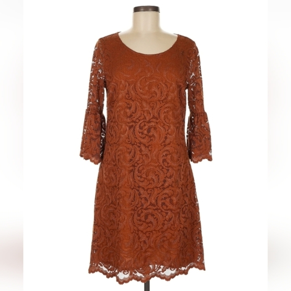 Garnet Hill Dresses & Skirts - Garnet Hill Lace Dress Size 6 Rust Brown Excellent